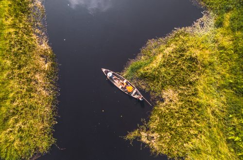Aerial Views of Epe Mangrove Views at the Epe Mangrove