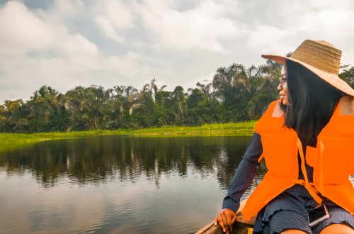 Epe Mangroves