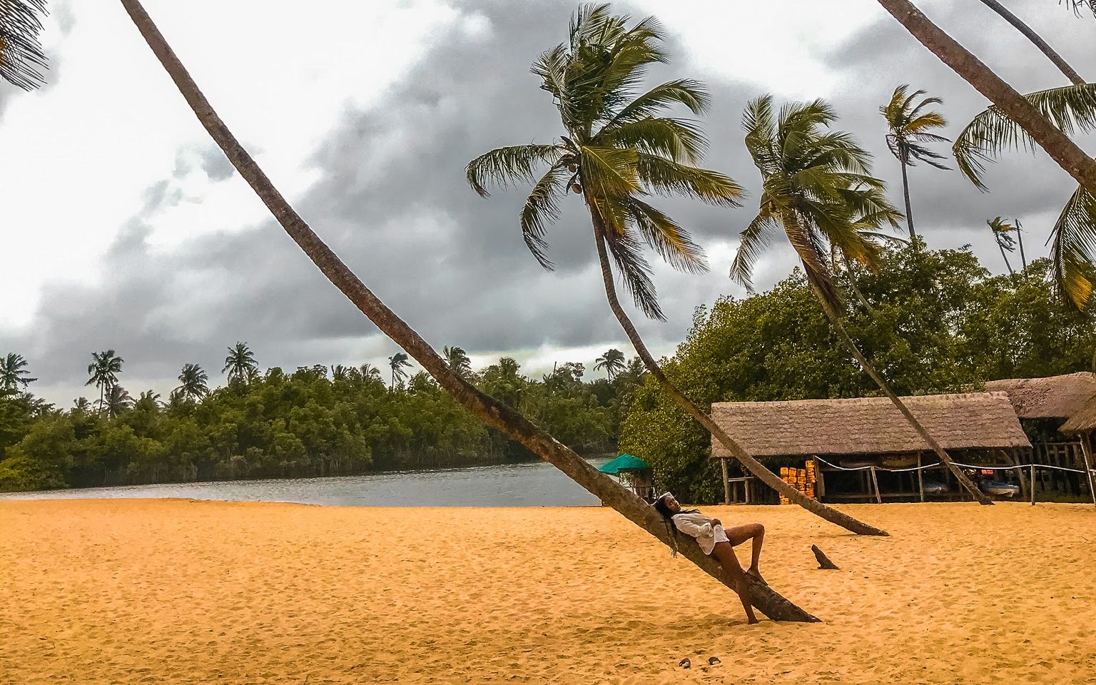 Lacampagne Tropicana 