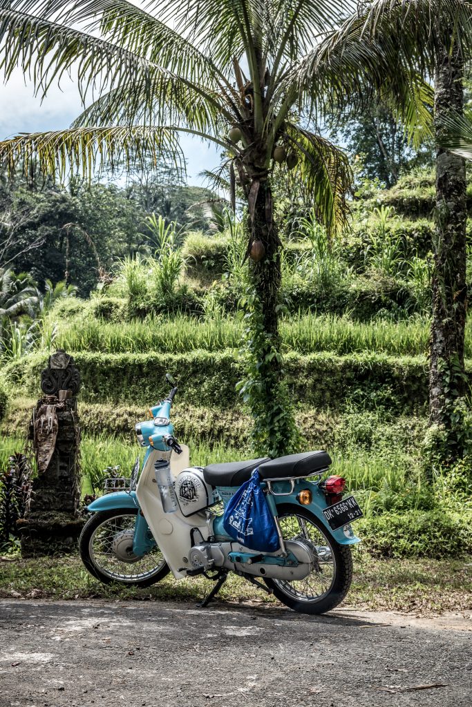Travel Resources 