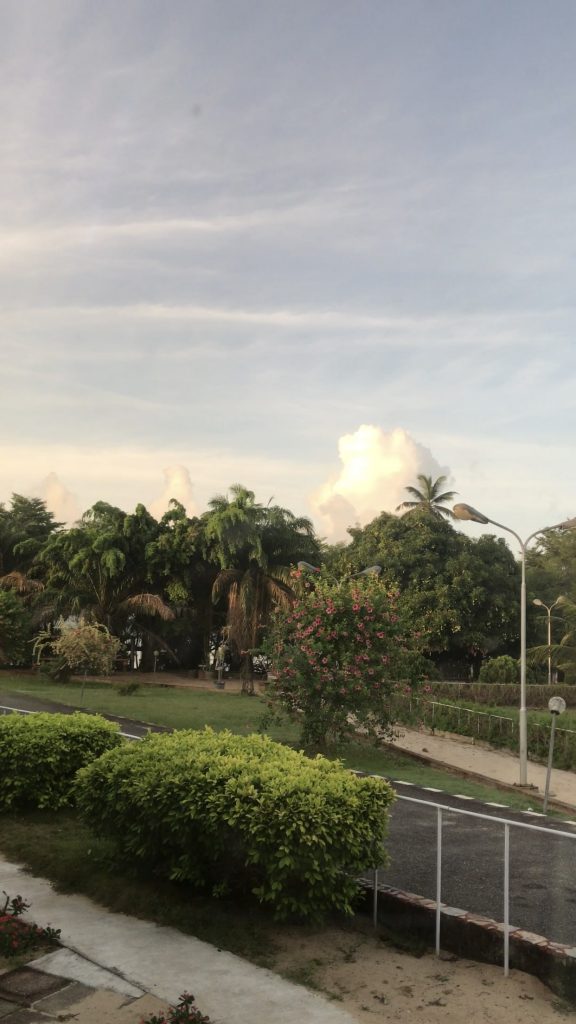 Views at Whispering palms 