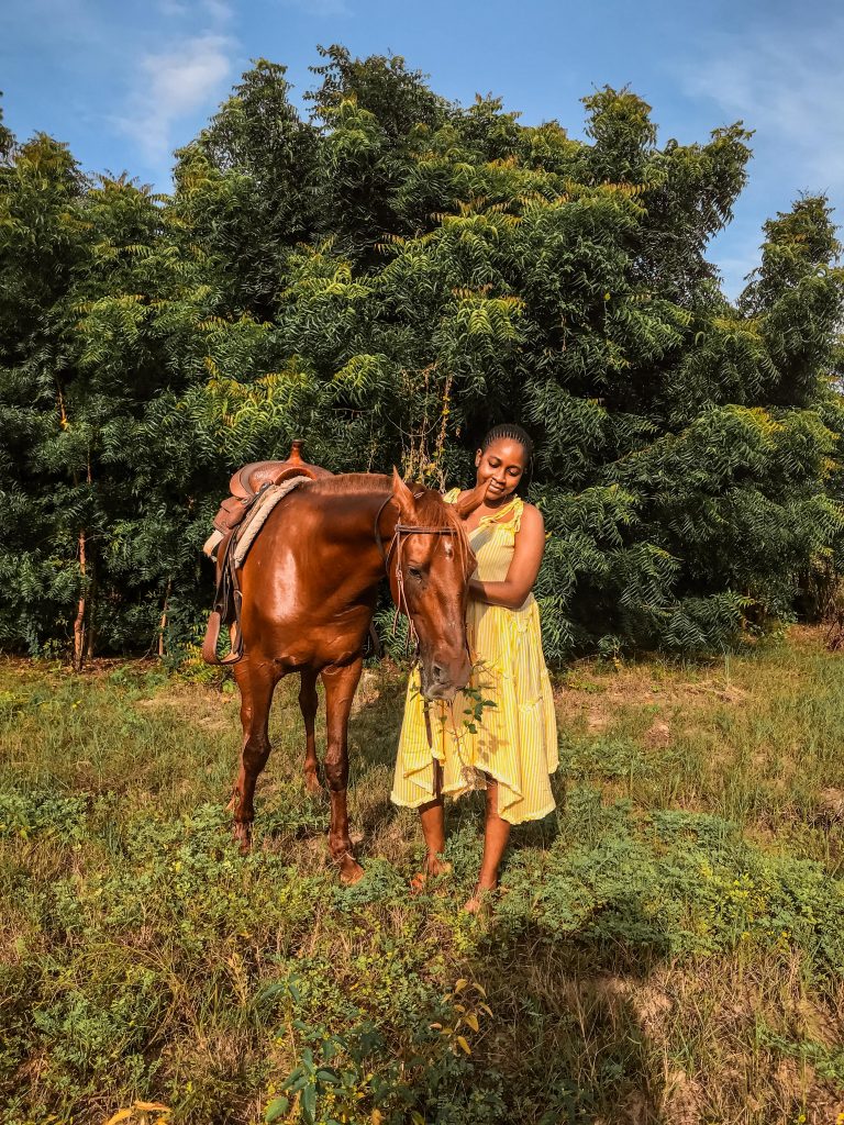 Tarkwa Bay Horse Ride