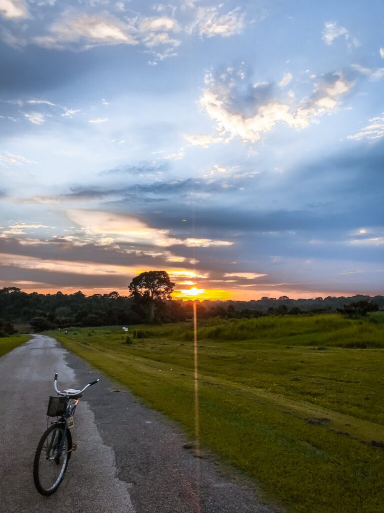 Sunset at IITA Ibadan