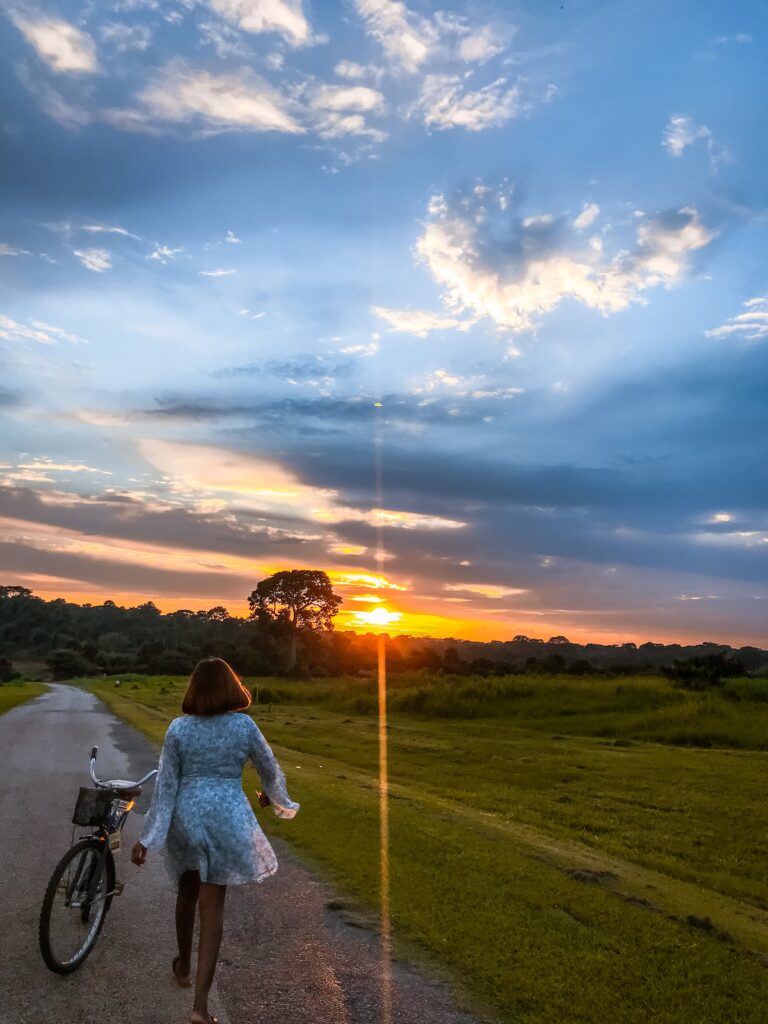 Sunsets at IITA Ibadan