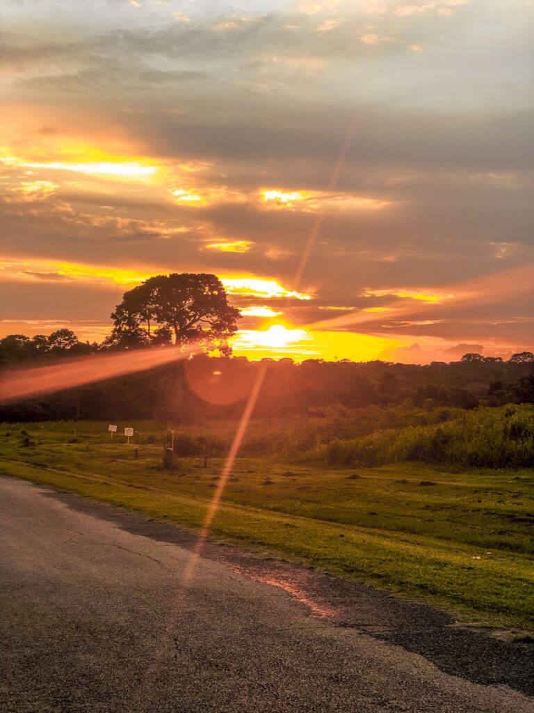 Sunset at IITA Ibadan