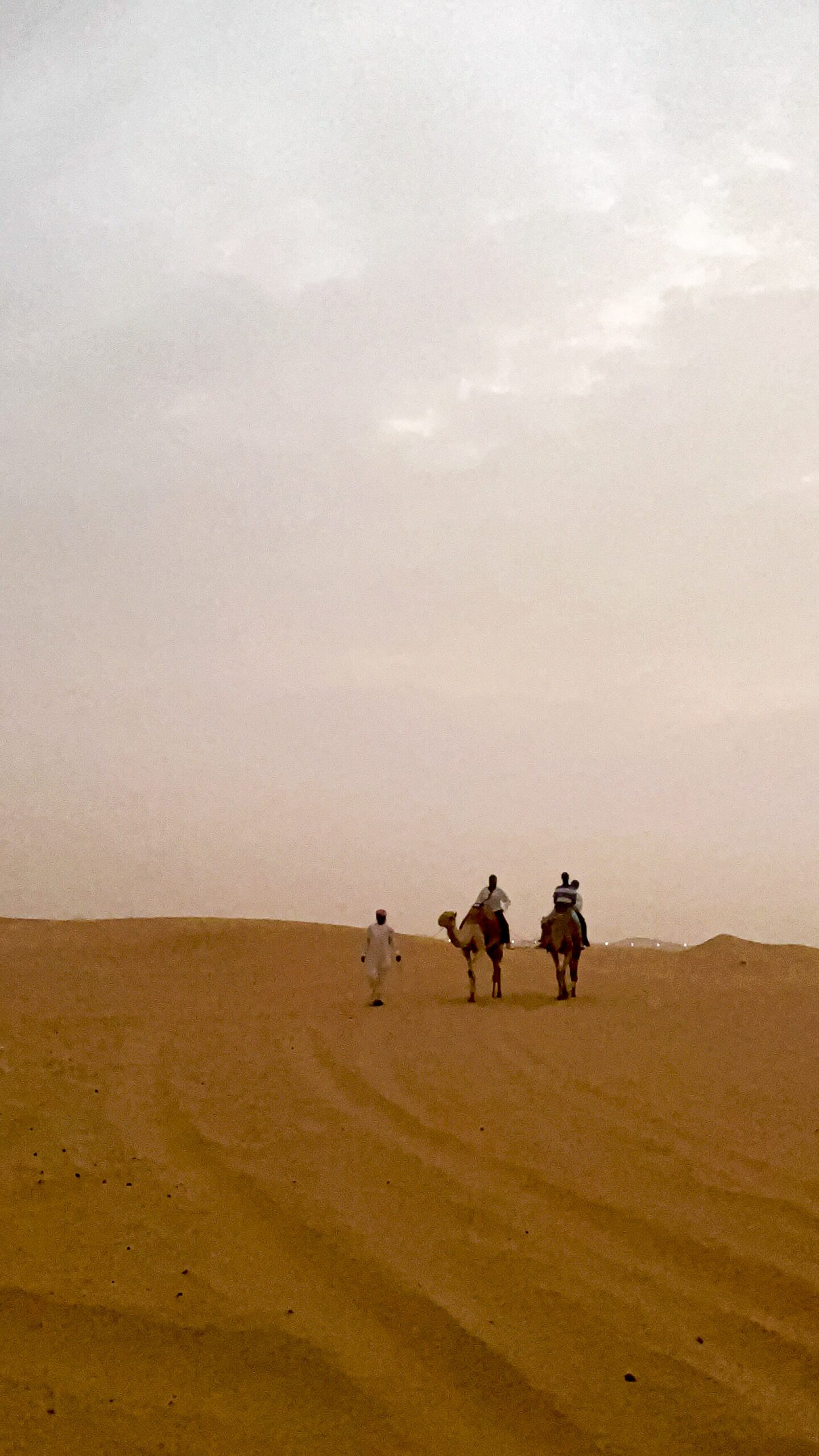 UAE Desert Safari