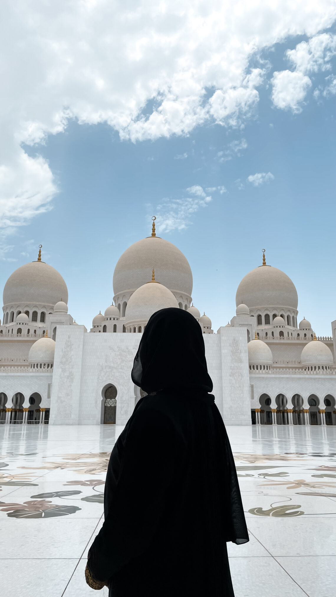Entry Requirements for Nigerians into the UAE