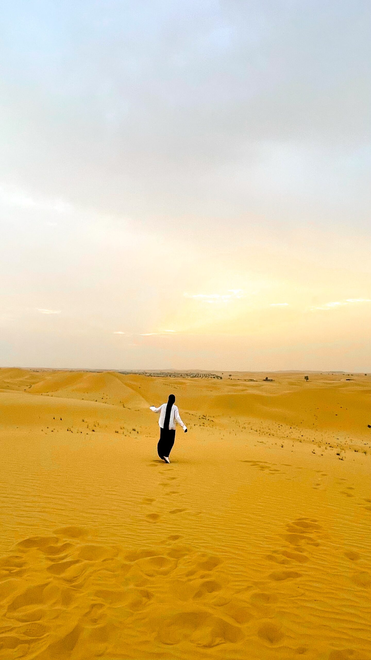 Top 8 things to do in the UAE