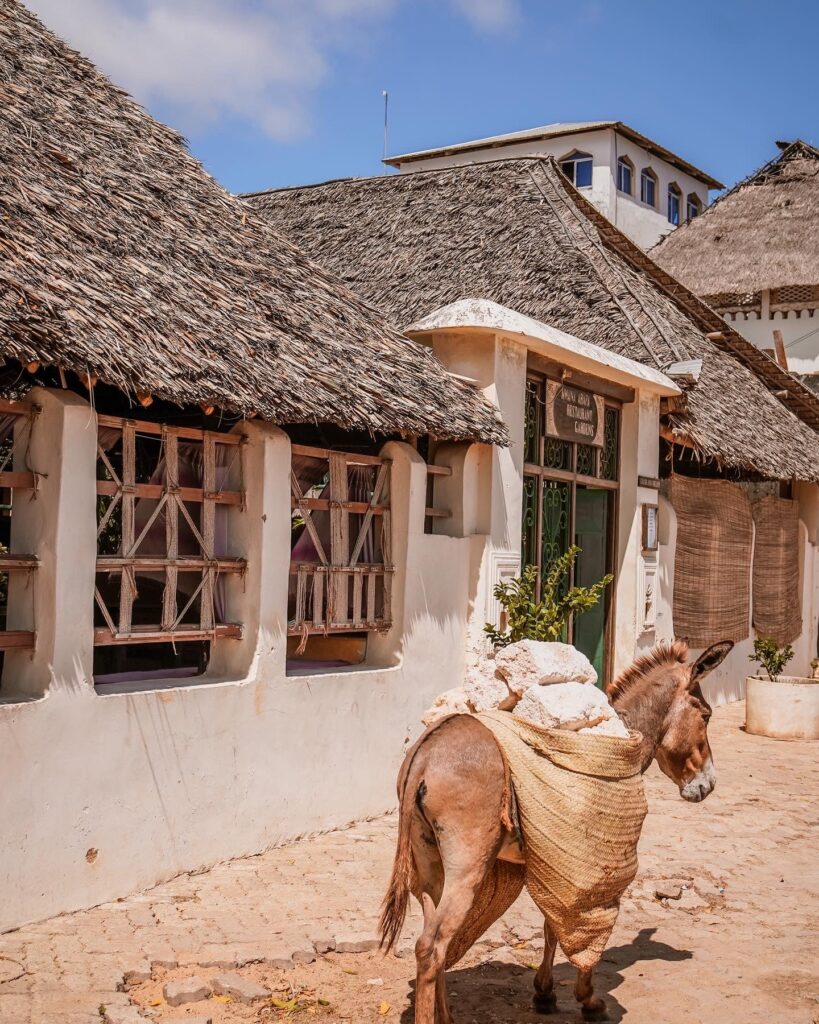 donkey in Lamu old town