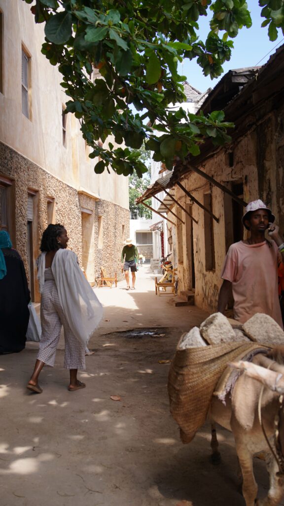 Lamu old town tour