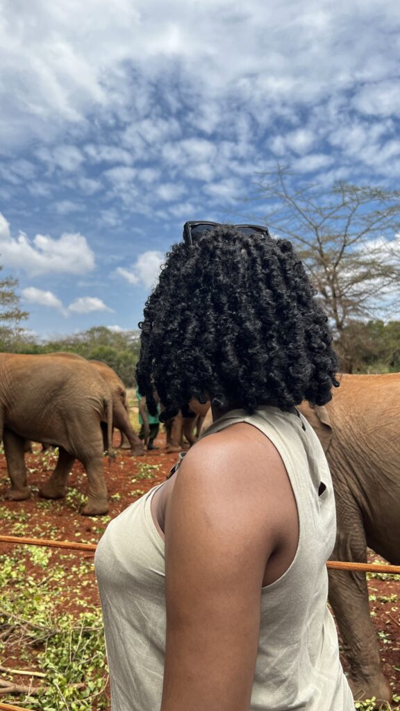 Elephant sanctuary in Nairobi