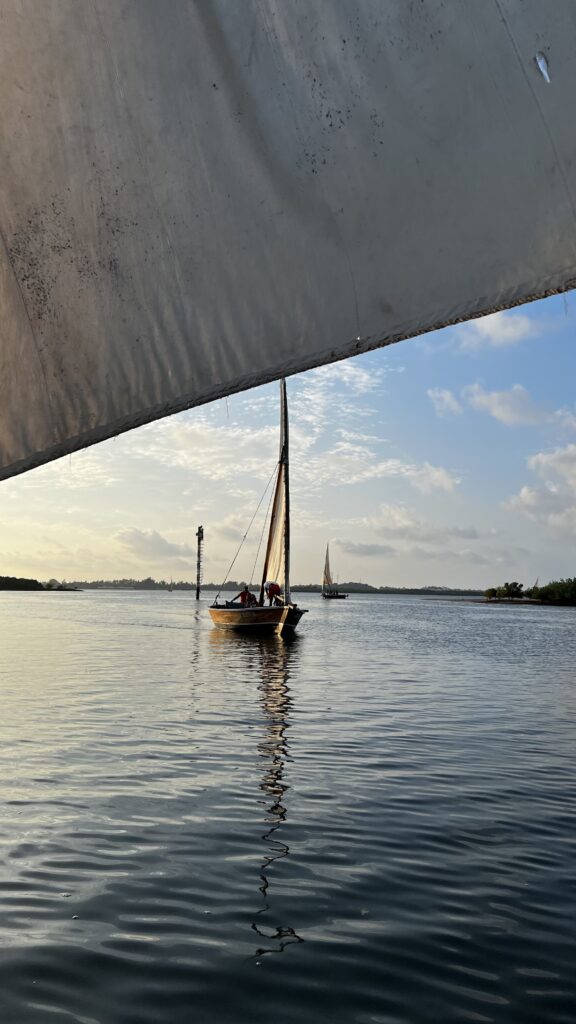 Dhows used as transportation in Lamu, Kenya