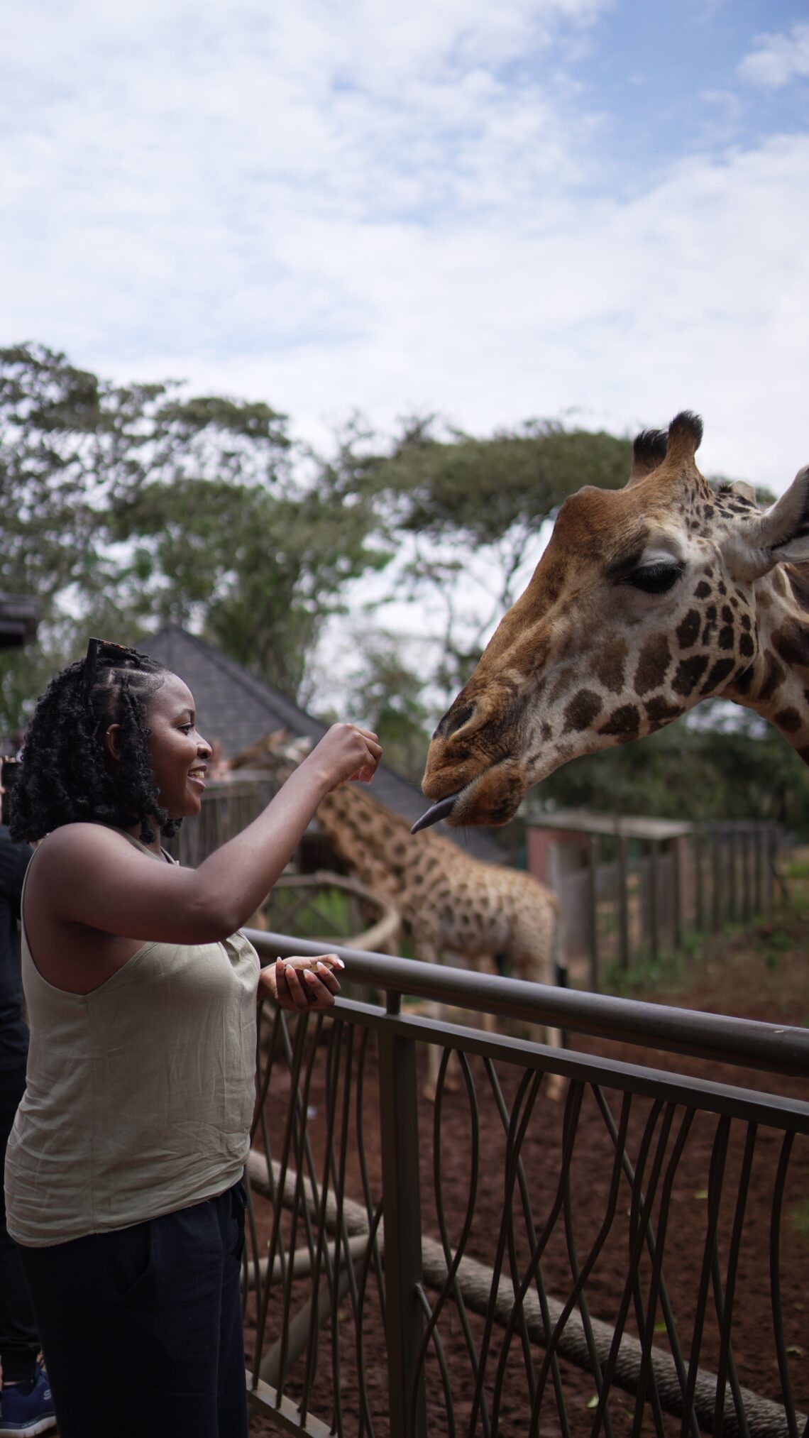 Giraffe centre Nairobi
