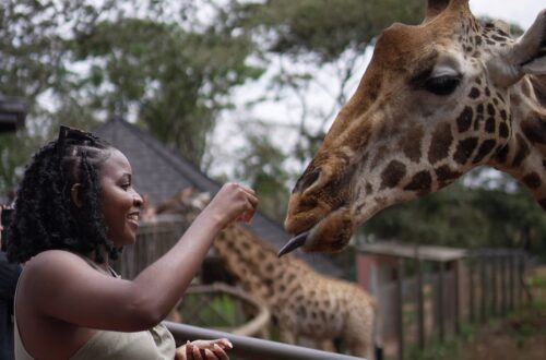 Giraffe centre Nairobi