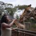 Giraffe centre Nairobi