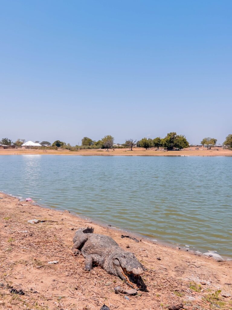 Paga crocodile pond - Northern Ghana