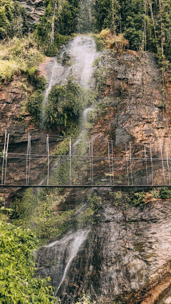 Ote waterfalls canopy walkway - Volta Region, Ghana