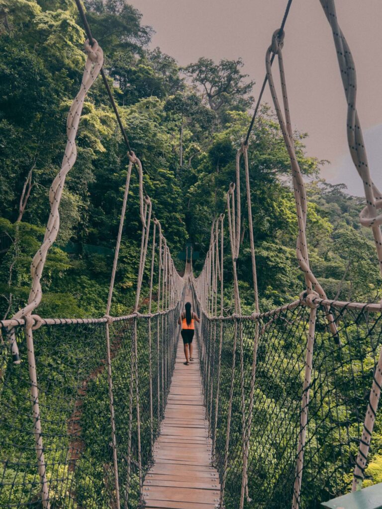 things to see and do in Ghana - Ote waterfalls canopy walkway