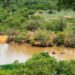 Mole National Park Northern Ghana