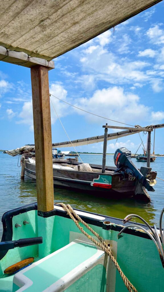 Dhows used as transportation in Lamu, Kenya