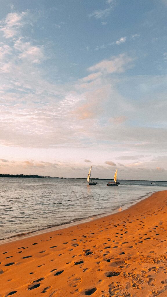 sailing dhows